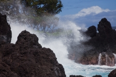 Hawaii_Laupahoehoe