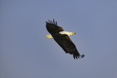 52B6789