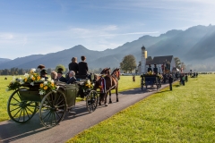 OAL_SchwangauColomanTB-1498