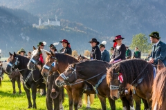 OAL_SchwangauColomanTB-1693