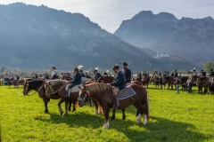 OAL_SchwangauColomanTB-1714