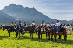 OAL_SchwangauColomanTB-1741