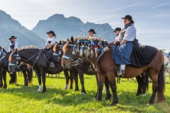 OAL_SchwangauColomanTB-1747