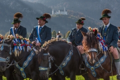 OAL_SchwangauColomanTB-1754