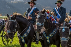 OAL_SchwangauColomanTB-1766