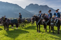 OAL_SchwangauColomanTB-1769