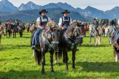 OAL_SchwangauColomanTB-1772