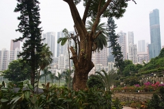 Friedhof Happy Valley Hongkong