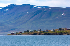 Dalvik