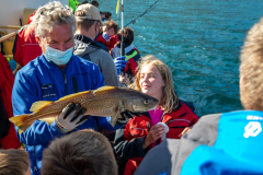 Fisch