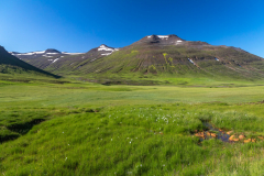 Bergmassiv im Norden