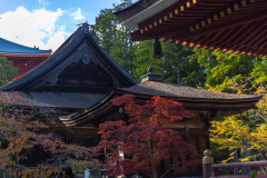 Koyasan_Japan-5295