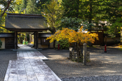 Koyasan_Japan-5360