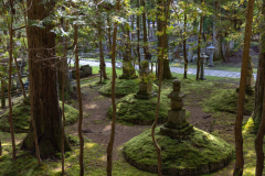 Koyasan_Japan-5389