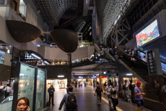 Kyoto_Japan-5498