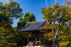Kyoto_Japan-5509
