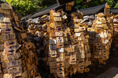 Kyoto_Japan-5598