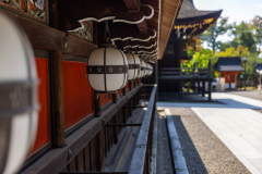 Kyoto_Japan-5601