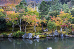 Kyoto_Japan-5899