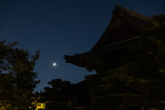 Kyoto_Japan-5919