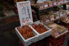 Kyoto_Japan-6099