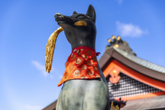 Kyoto_Japan-6201