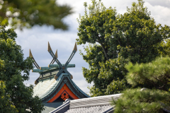 Kyoto_Japan-6236