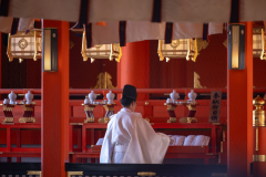 Kyoto_Japan-6237