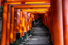Kyoto_Japan-6277
