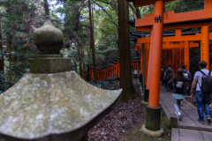 Kyoto_Japan-6318