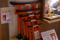 Kyoto_Japan-6330