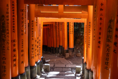 Kyoto_Japan-6332