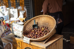 Kyoto_Japan-6336