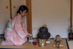 Kyoto_Japan-6400