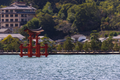 Miyajima_Japan-4779