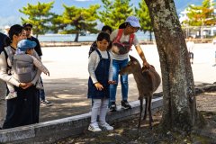 Miyajima_Japan-4781
