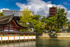 Miyajima_Japan-4857
