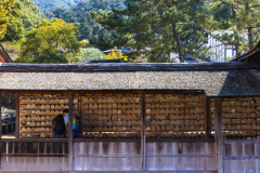 Miyajima_Japan-4942