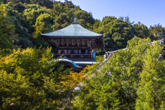 Miyajima_Japan-5008