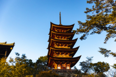Miyajima_Japan-5034