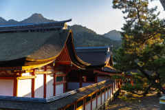 Miyajima_Japan-5035