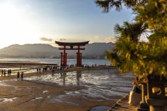 Miyajima_Japan-5036