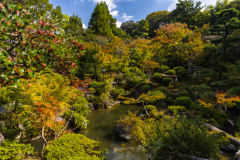 Nara_Japan-5091