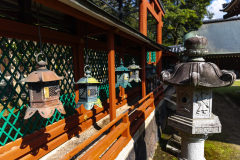 Nara_Japan-5111
