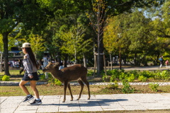Nara_Japan-5120