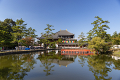 Nara_Japan-5140