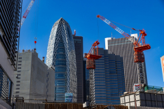 Tokyo Japan-7102
