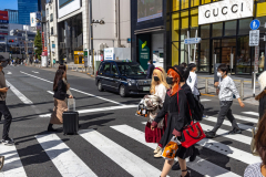 Tokyo Japan-7108
