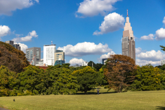 Tokyo Japan-7144