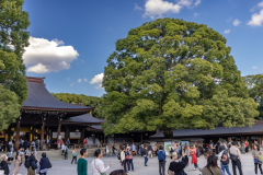 Tokyo Japan-7169
